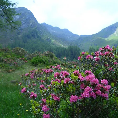 Appartementhaus Goritschnig Appartement
